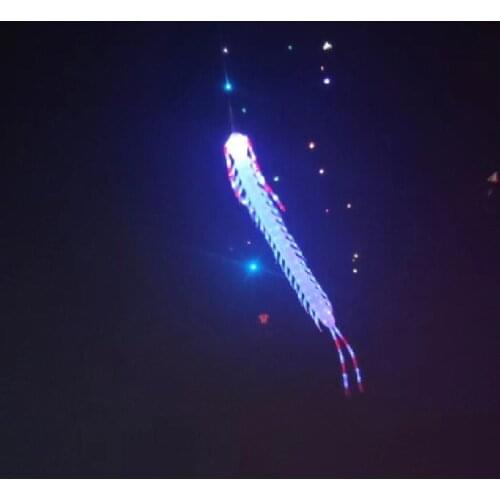 Animal kite inflatable kite ripstop led night light kite flying vlieger kites for adults cometas para adultos windsock soft kite