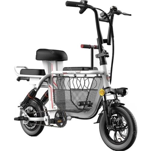 12 Inch Mini Folding Electric Bicycle 400W 48V Removable Battery with Pet Basket