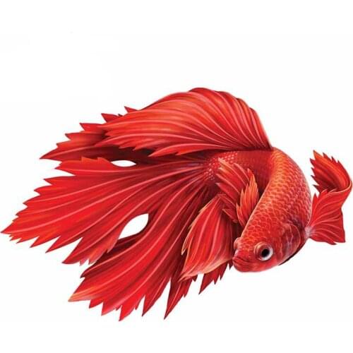 Beautiful Lifelike Betta Fish Motorcycle Car Stickers Scratch-proof Window Truck Decal Waterproof Custom Printing Vinyl Decor