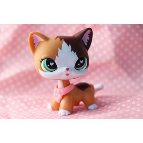 Pet Custom Flame Shorthair Cat with Accessories Collar Pink Rare