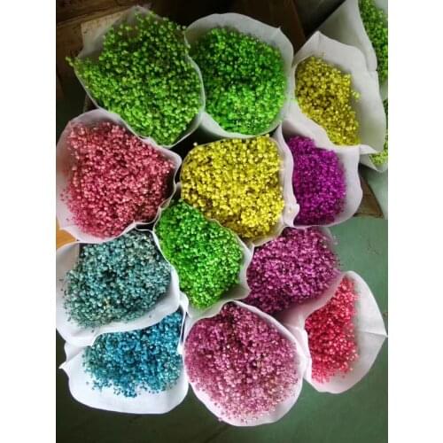 New Arrival 1 Bundle Dried Gypsophila Flowers For Wedding Party Holiday Festival Home Hotel Shop Decoration