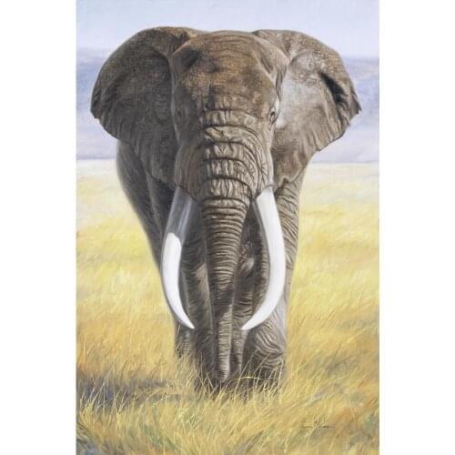 Canvas art oil painting African Elephant Power Of Nature animal landscape picture for bathroom wall decor Hand Painted abstract