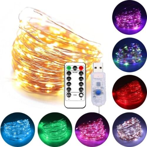 ZHUIYAN LED String Lights With Transparent Wire