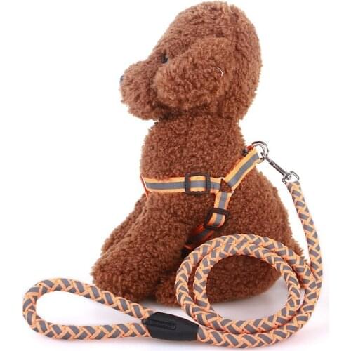 Pet Dog Leash Small Puppy Leash Harness Collar Pet Traction Rope Nylon Harness With Lead Leash Dogs Luminous Fluorescent Collars