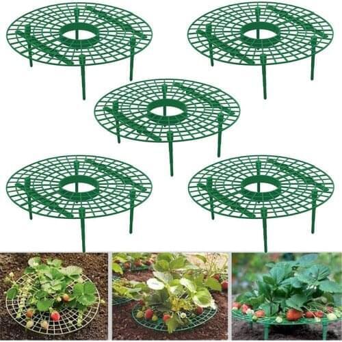 5PCS Strawberry Stand Frame Holder Balcony Planting Rack Fruit Support Plant Flower Climbing Vine Pillar Gardening Stand