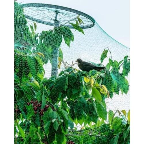10m Green Woven Mesh Garden Netting Protect Plants Fruits Flowers Trees Stretch Fencing Durable Net Stops Birds Deer Animals