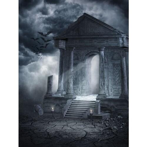 VinylBDS Night Halloween Backdrops For Photography Night Clouds Nether Door Washable Halloween Backdrop Backgrounds WSJ-049