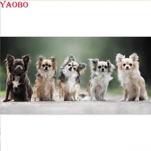 5D DIY Diamond Painting Chihuahua dog,Cross Stitch,Full Square Round Mosaic Rhinestone Embroidery,3D,mazayka diamond,home decor