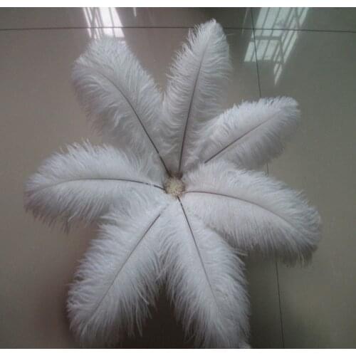 Wholesale! 10 PCS/a lot of beautiful white ostrich feathers 20-25 cm / 8-10 inches wedding celebration decoration