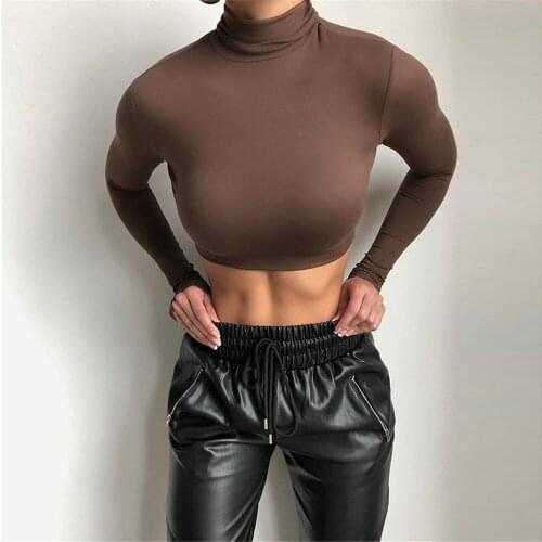 Women Spring Autumn Stylish Leisure High Neck Long Sleeve Slim Fit T Shirts Pullover Fashion Casual Bodycon Brown White Black
