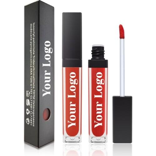 Cosmetic Wholesale Oem No Logo Custom Make Your Own Logo Private Label Waterproof Matte Lip gloss