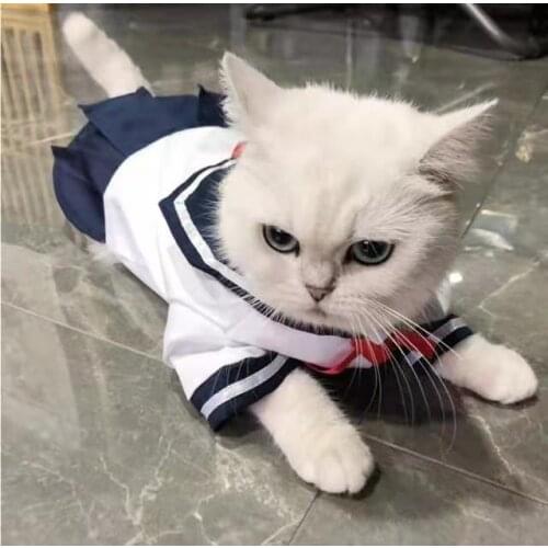 Cat clothes lolita cat dog cute shirt skirt thin pet JK uniform skirt sailor suit dog clothes