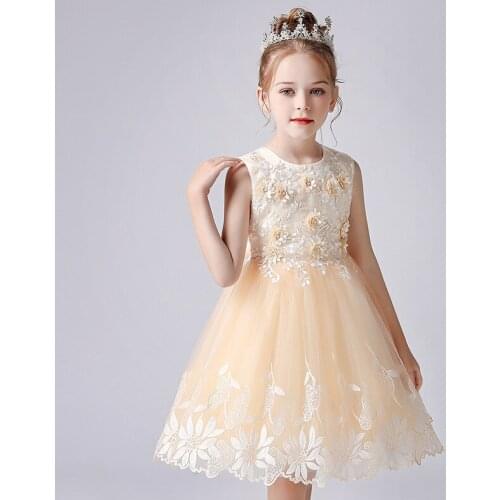 2021 Girl Princess Dress Pink Summer New Childrens Day Piano Child Dress Performance Clothing Mesh Dress 4-12 Years Old