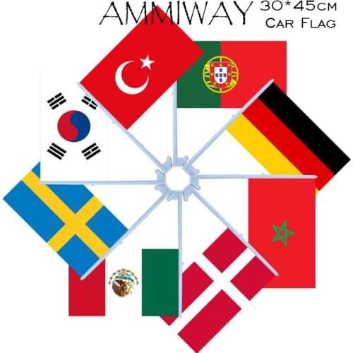 AMMIWAY 30x45cm Car Flag Portugal Germany Morocco Denmark Mexico Sweden South Korea World Country National Car Flags and Banners