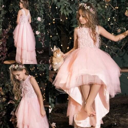 Luxury Girls Pink High Low Flower Girls Dresses Pink Lace Applique Girls Celebration Birthday Pageant Photography Dresses Custom