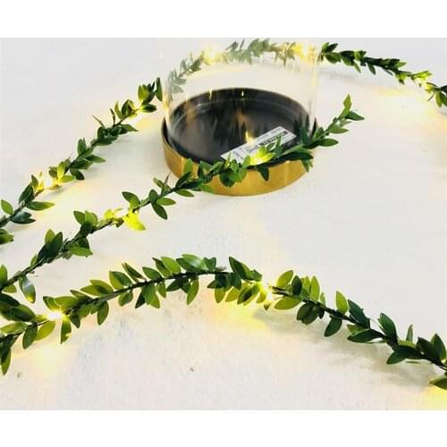 LED Holiday Light Bulbs Toifucos China