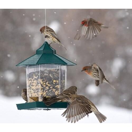 Waterproof Gazebo Hanging Wild Bird Feeder Outdoor Feeding For Garden Decoration