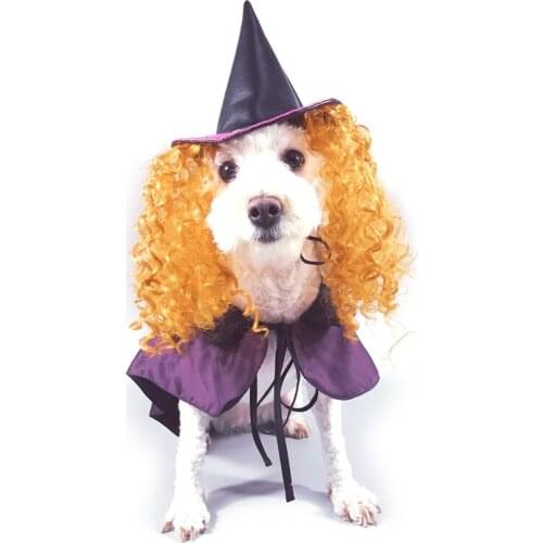 Creative Cat Dog Costume Pet Witch Hat Coat Clothes For Halloween Adjustable Cat Witch Halloween Cap Pet Costume Accessories