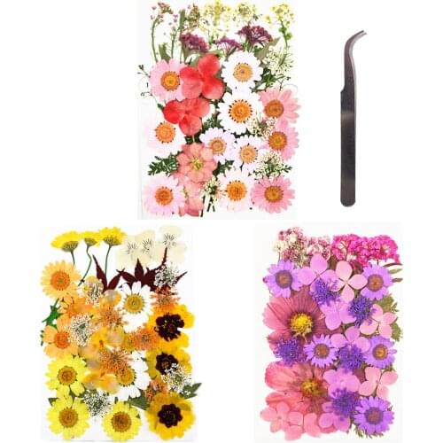106PCS Natural Pressed Dried Flowers Leaves Multiple Color with Tweezers for Resin Jewelry Candle Soap Crafts Nail Stickers