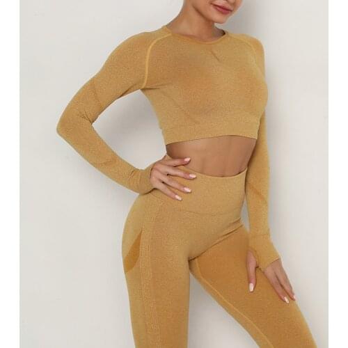 Sexy Long Sleeve Yoga Shirts Women Crop Top Seamless Women Slim Fitness Gym Clothes Yoga Shirts Solid Sports Tops Push Up