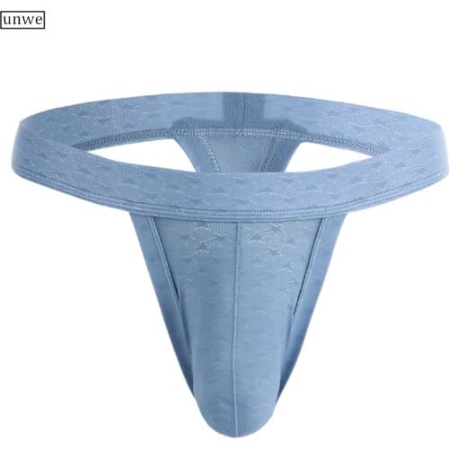 Brand EU Mens Sexy G-string Briefs U Pouch Cuecas Gay Slip Homme Nylon Thongs Underwear Mesh Male Underpants S-XXL