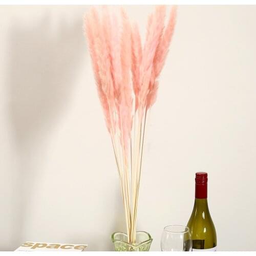 15pcs/bundle Bulrush Natural Dried Flowers Artificial Plants Branch Pampas Grass Phragmites Fake Flower Wedding Home Decoration