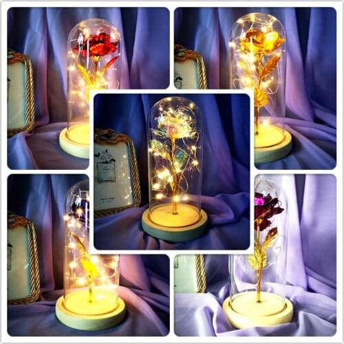 Dropshipping Artificial Decoration Rose LED Lamp Light Dome Flask Bottle in Glass Dropshipping Beauty and The Beast Rose