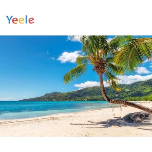 Summer Tropical Seaside Beach Sea Ocean Palm Tree Mountain Nature Scenery Backdrop Photography Background For Photo Studio Shoot