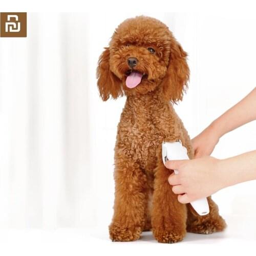 New Youpin Pet shaver Safety is not a card nourish the pet novice must-have artifact Safety cutter head