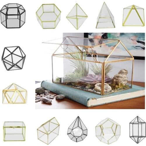 Irregular Glass Geometric Succulent Planter Vase Box Terrarium Container for Home Decoration Gift