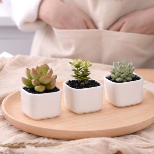 Flower Pot Mini Simple White Creative Desktop Flowerpot Succulent Ceramic Rounded Corners Square Potted Flower Pot Office Decor