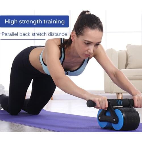 Ab Roller Wheel Kit With Resistance Bands Jump Rope Push-Up Bar Home Gym Equipment For Core Strength Abdominal Exercise Workout