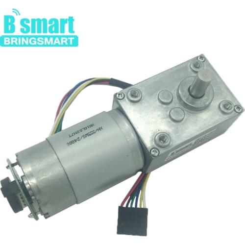 Bringsmart A58SW-555B 12V Worm Gear Motor And Gear Motor Dc 24v With Motor Encoder And Self-Locking For DIY,Robot,Rotating Table