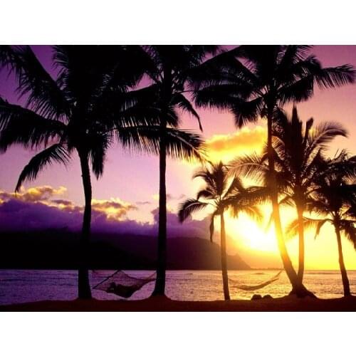 Modern Tropical picture as Canvas prints , printed on cotton canvas from fantasy Picturesque photo for home decor free shipping