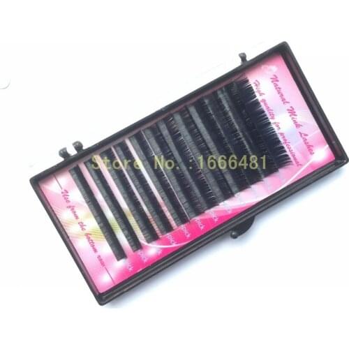 5 Packs C D Curl Ellipse Flat Lashes Synthetick Hairs Mixed Length Can Do OEM