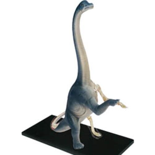 4D Dinosaur Toy Brachiosaurus Model Dino Anatomy Skeleton DIY Toys Educational Gift STEM Equipment Detachable Master 26094