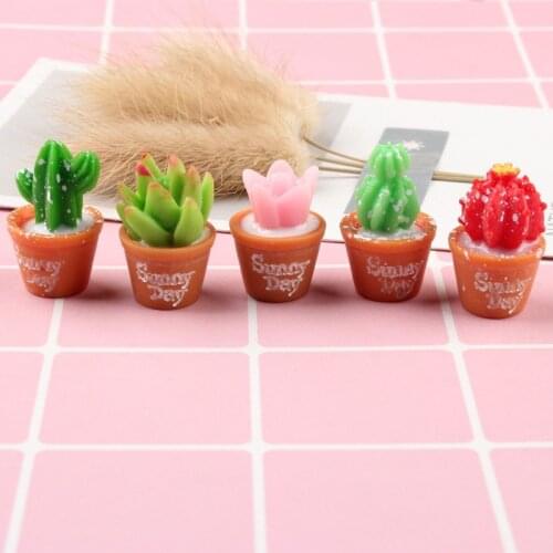 5 Pcs Mini Artificial Cactus Potted Plant for Doll House Decoration Small Beatiful Craft for Dolls