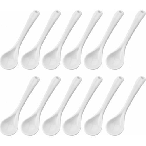 Queens Kitchen Acrylic Spice Spoon 12 Pieces