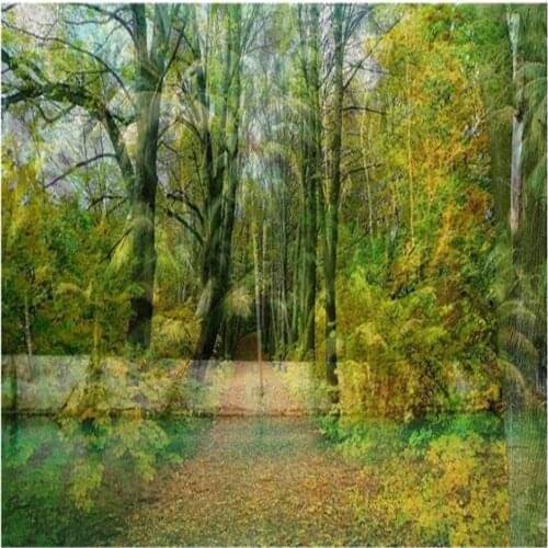 Fresh green forest 3d wallpapers background wall paper beautiful scenery wallpapers