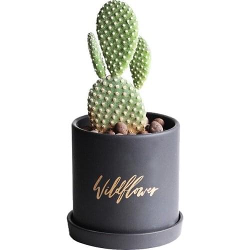 North European Flower Pots Planters Black White Pot Set Decorative Vase