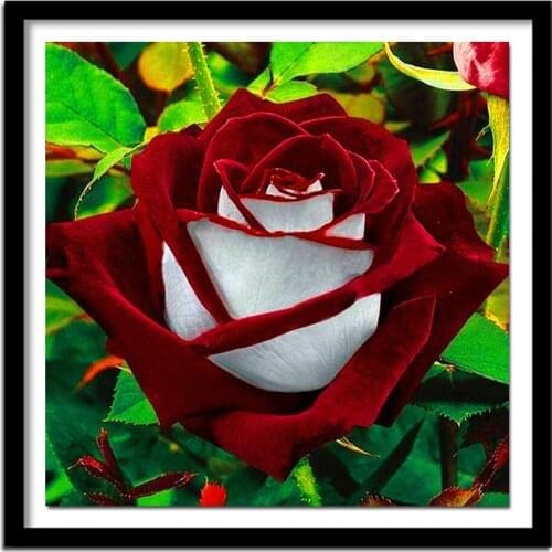 3D Diy Diamond Painting Flower Diamond Cross Stitch Crystal Square Diamond Sets Unfinished Decorative Diamond Embroidery