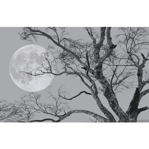 3d murals wallpaper for living room Personality moon wallpapers minimalist background wall