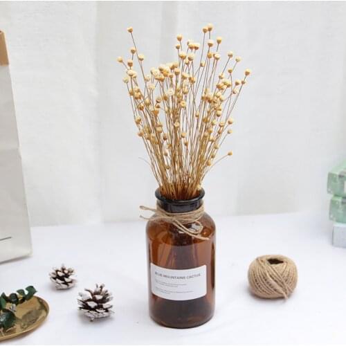 50pcs Natural Dried Flowers Bouquet Real Happy Flower Small Dry Flowers Press Mini Decorative Photography Photo Backdrop Decor