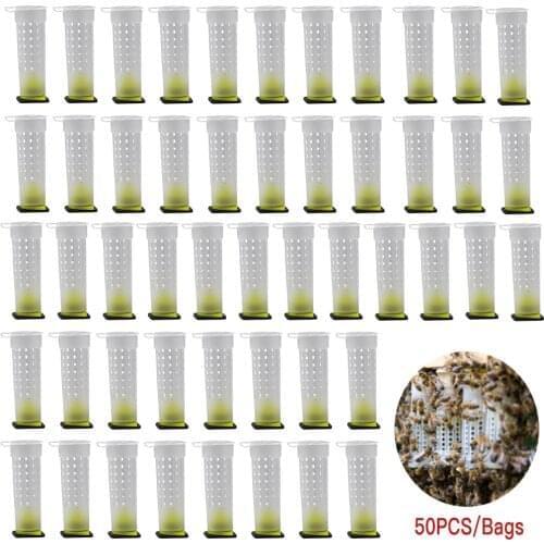 50Pcs Nicot Bee Queen Rearing Cupkits Cages System Catcher BoxRoller Cage Holder Bee Keeping Tool Apiculture Equipment Supplies