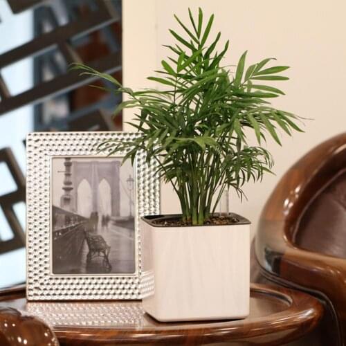 3 Size Automatic Self Watering Flower Plants Pot Put In Floor Irrigation For Garden Indoor Home Decoration Gardening Flower Pots