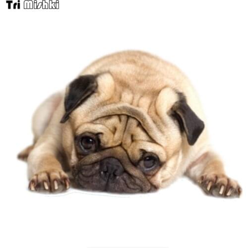 Tri Mishki WCS860 16x10.6cm PUG dog car sticker PVC coloful Decals Motorcycle Accessories sticker