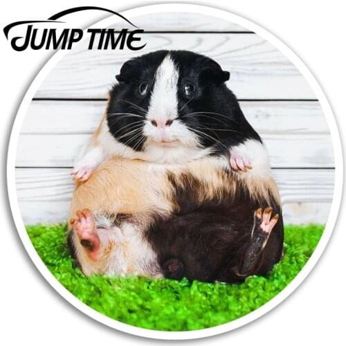 Jump Time Funny Guinea Pig Vinyl Stickers Cute Sticker Laptop Luggage Car Assessoires Window Decals Car Wrap DIY