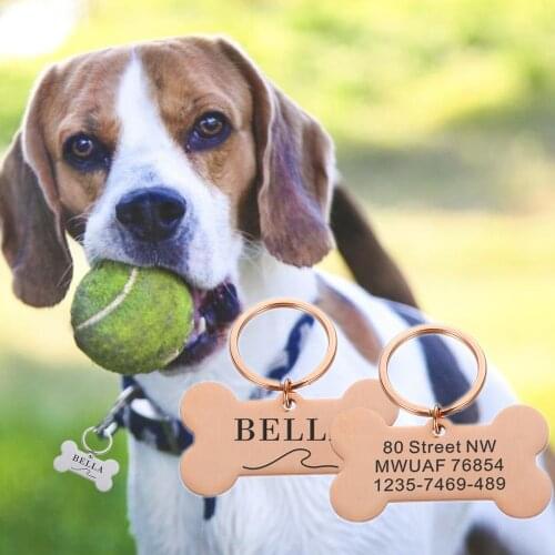 Personalized Dog Address Anti Lost Tags Customized Cat Necklace Tag Pet Accessories for Kitten Cat Dog Name Medal with Engraving