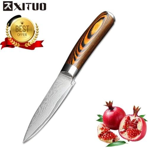 XITUO 3.5 Inch Paring Knife Japanese VG10 67 Layer Damascus Steel Kitchen knife Wood Handle Boning Knife Kitchen Utility Tools