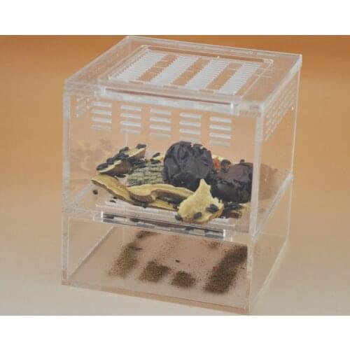 10*11*10cm bread bug/or drug darkling beetle nest acryl, insect nests villa new pet fram mania house for insects Breeding